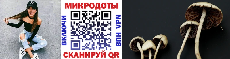 Псилоцибиновые грибы GOLDEN TEACHER  наркота  Пионерский 